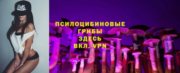 МДПВ Дмитров