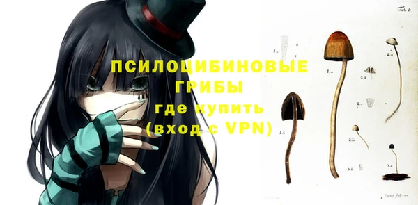 мескалин Дмитриев