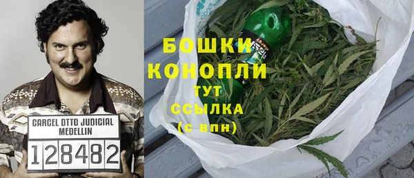 МДПВ Дмитров