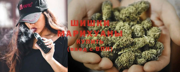 МДПВ Дмитров
