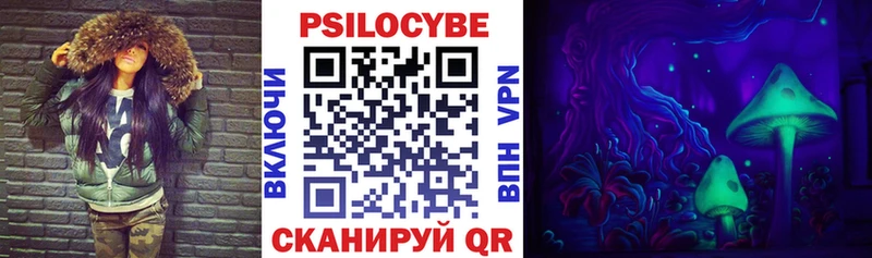 Псилоцибиновые грибы Cubensis  Кропоткин 